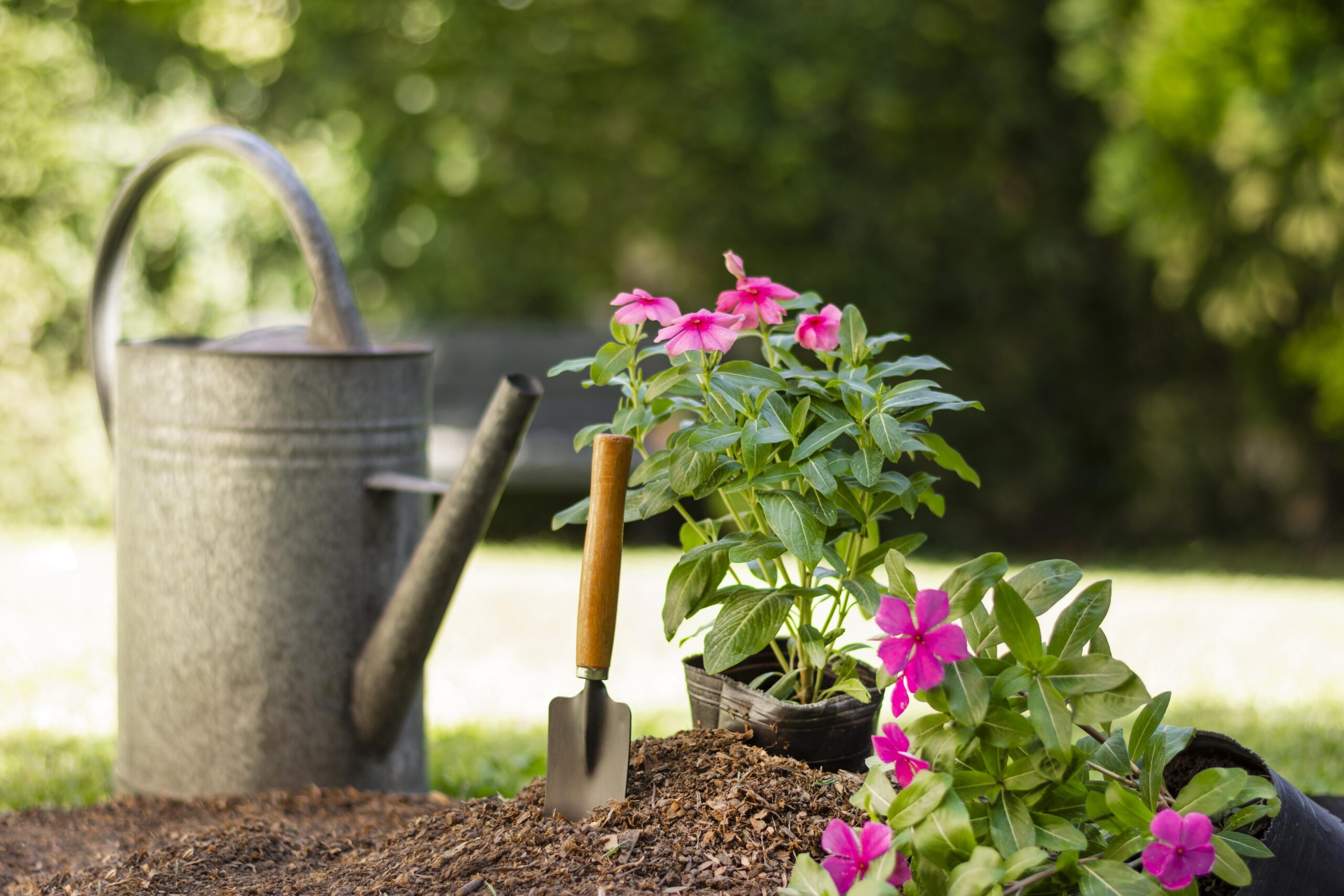 plants-gardening-tools-close-up